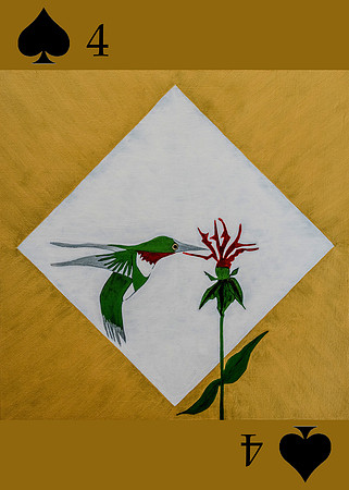 SPADES 4