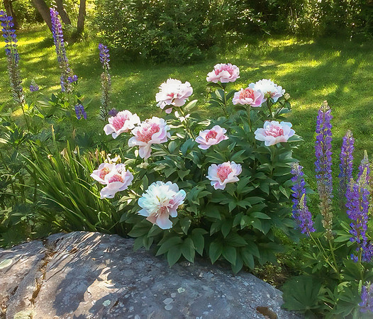0084