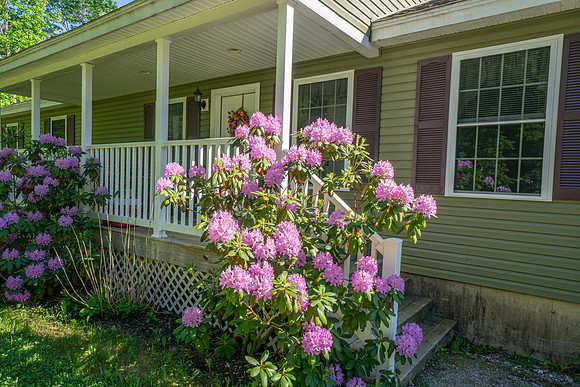 DSC00393-HDR