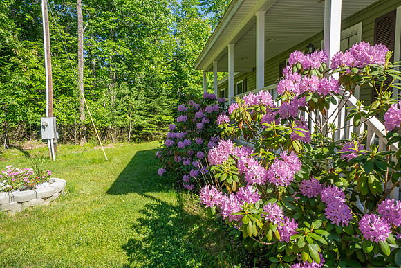DSC00396-HDR