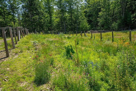 DSC02170-HDR