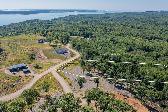 DJI_0635