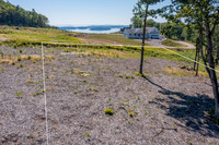 DJI_0637