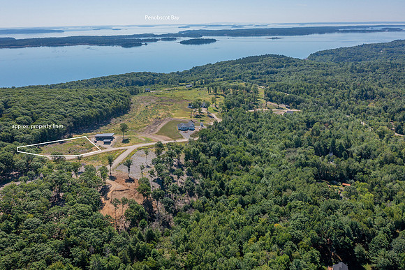 DJI_0632