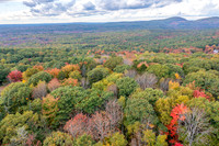DJI_0130