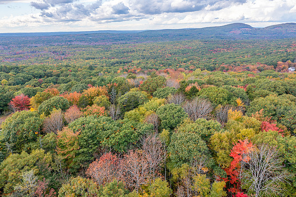 DJI_0130