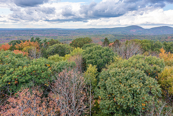 DJI_0141