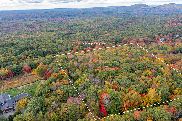 DJI_0131