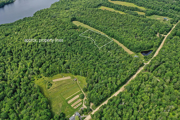 DJI_0536a