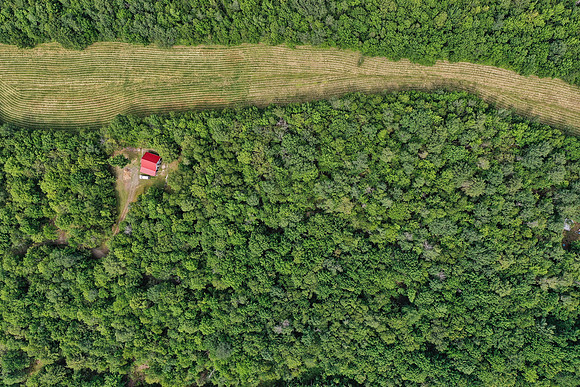 DJI_0528