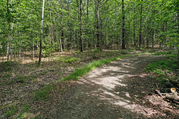 DJI_0543