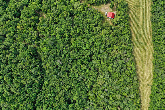DJI_0540