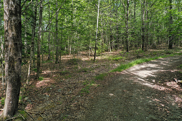 DJI_0542