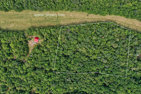DJI_0528a