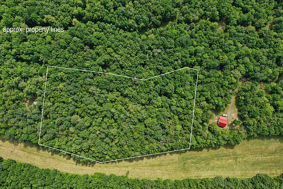 DJI_0541a