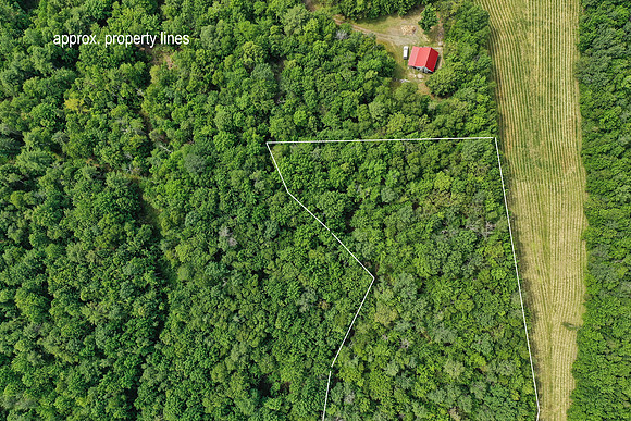 DJI_0540a