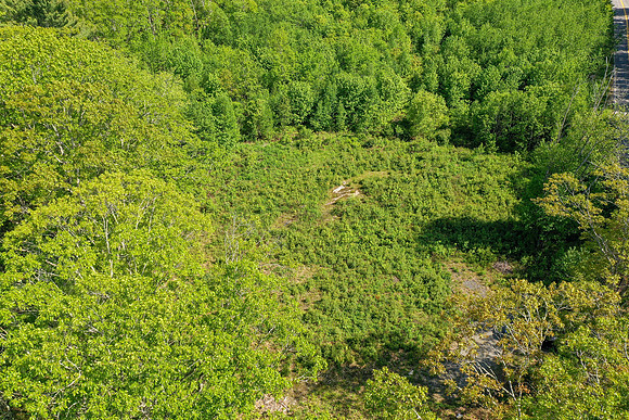 DJI_0041