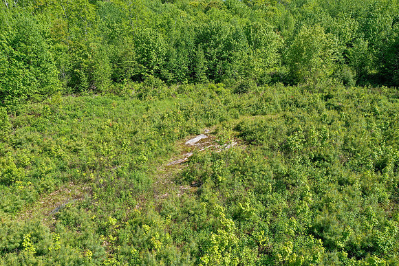 DJI_0042