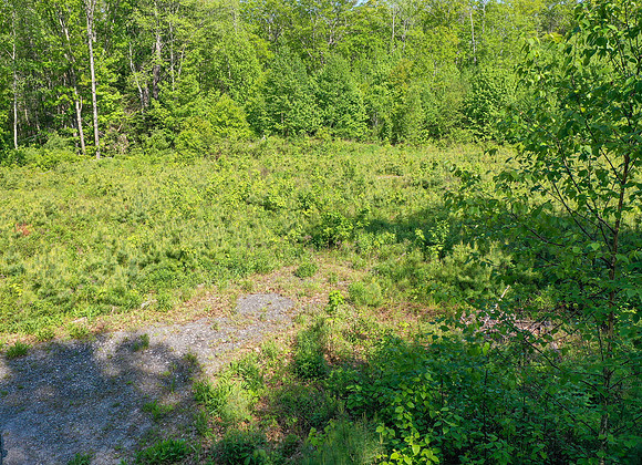 DJI_0045