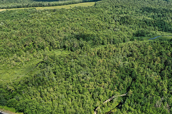 DJI_0472