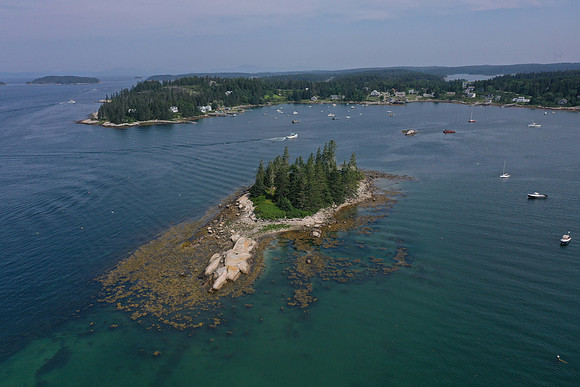 DJI_0627