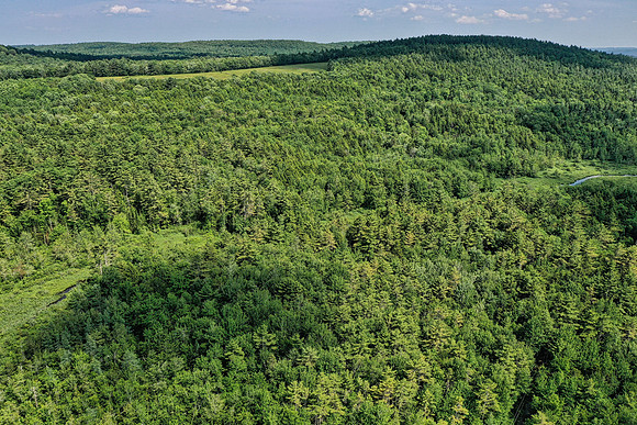 DJI_0471