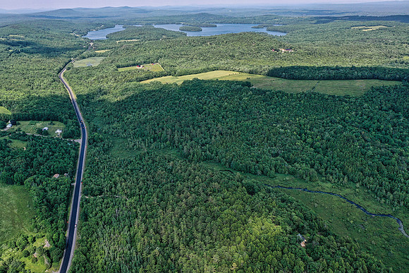 DJI_0484