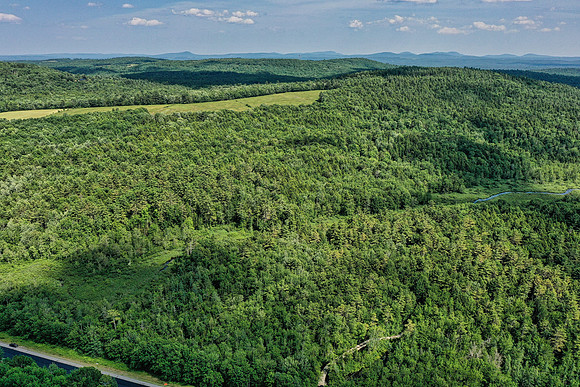 DJI_0473