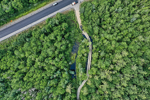 DJI_0486