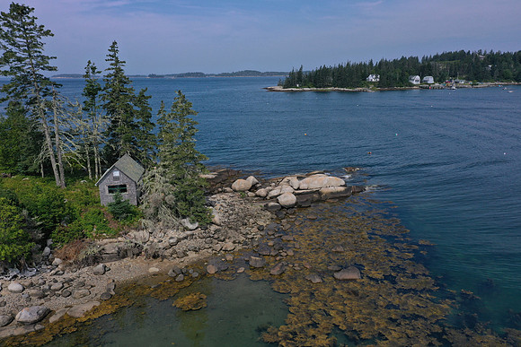 DJI_0631
