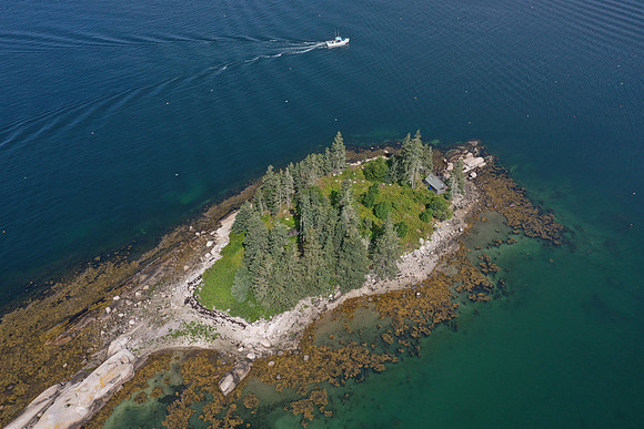 DJI_0626