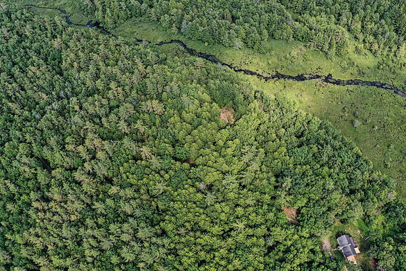 DJI_0485